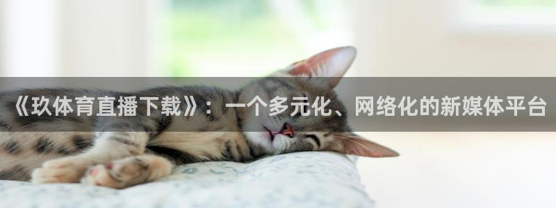 《玖体育直播下载》：一个多元化、网络化的新媒体平台