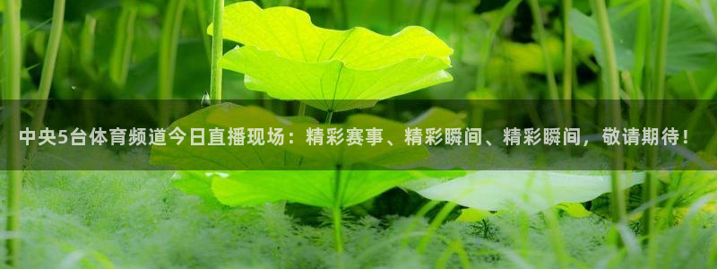 中央5台体育频道今日直播现场：精彩赛事、精彩瞬间、精彩瞬间，敬请期待！
