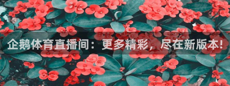 企鹅体育直播间：更多精彩，尽在新版本!